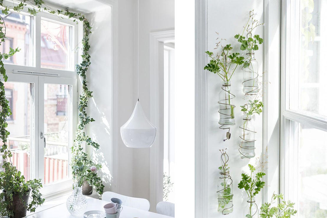 Créer un petit jardin intérieur devant vos fenêtres