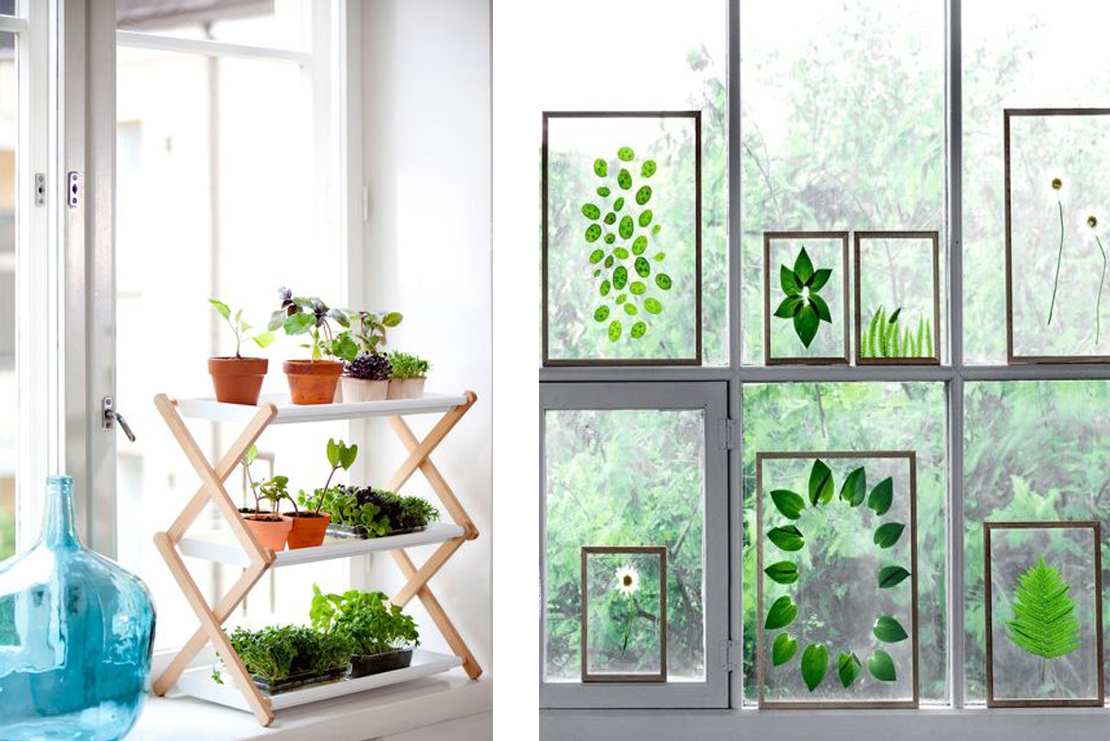 Végétaliser vos fenêtres