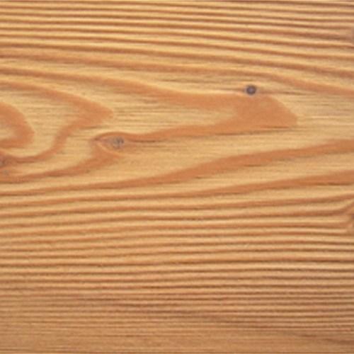 Mélèze de Sibérie