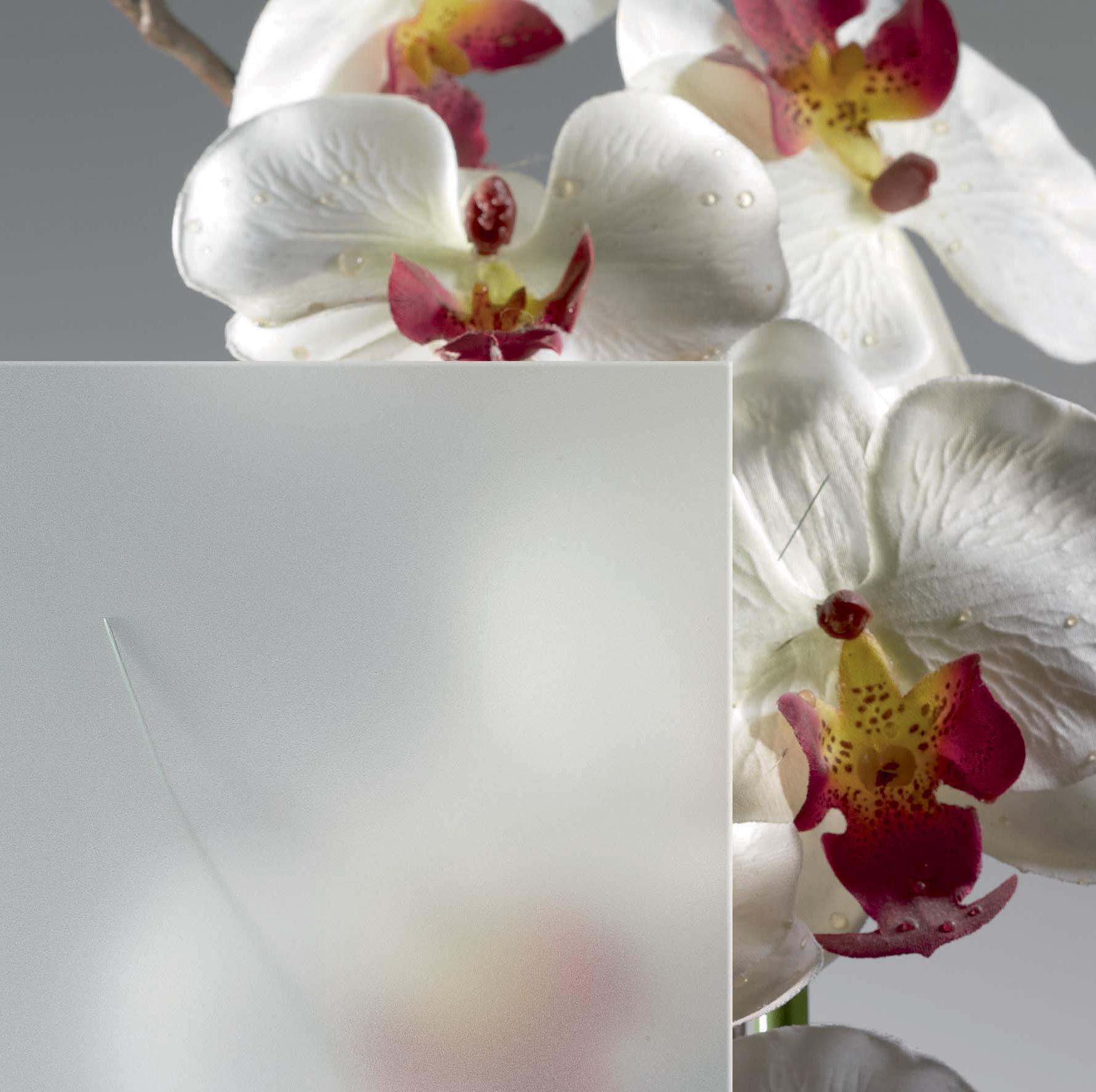 Vitrage dépoli - Illustration Isofrance Fenêtres