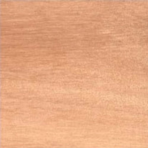 Eucalyptus Red Grandis