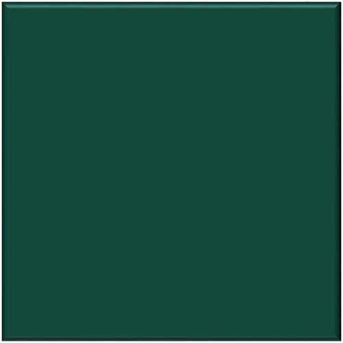 RAL 6005 Vert mousse