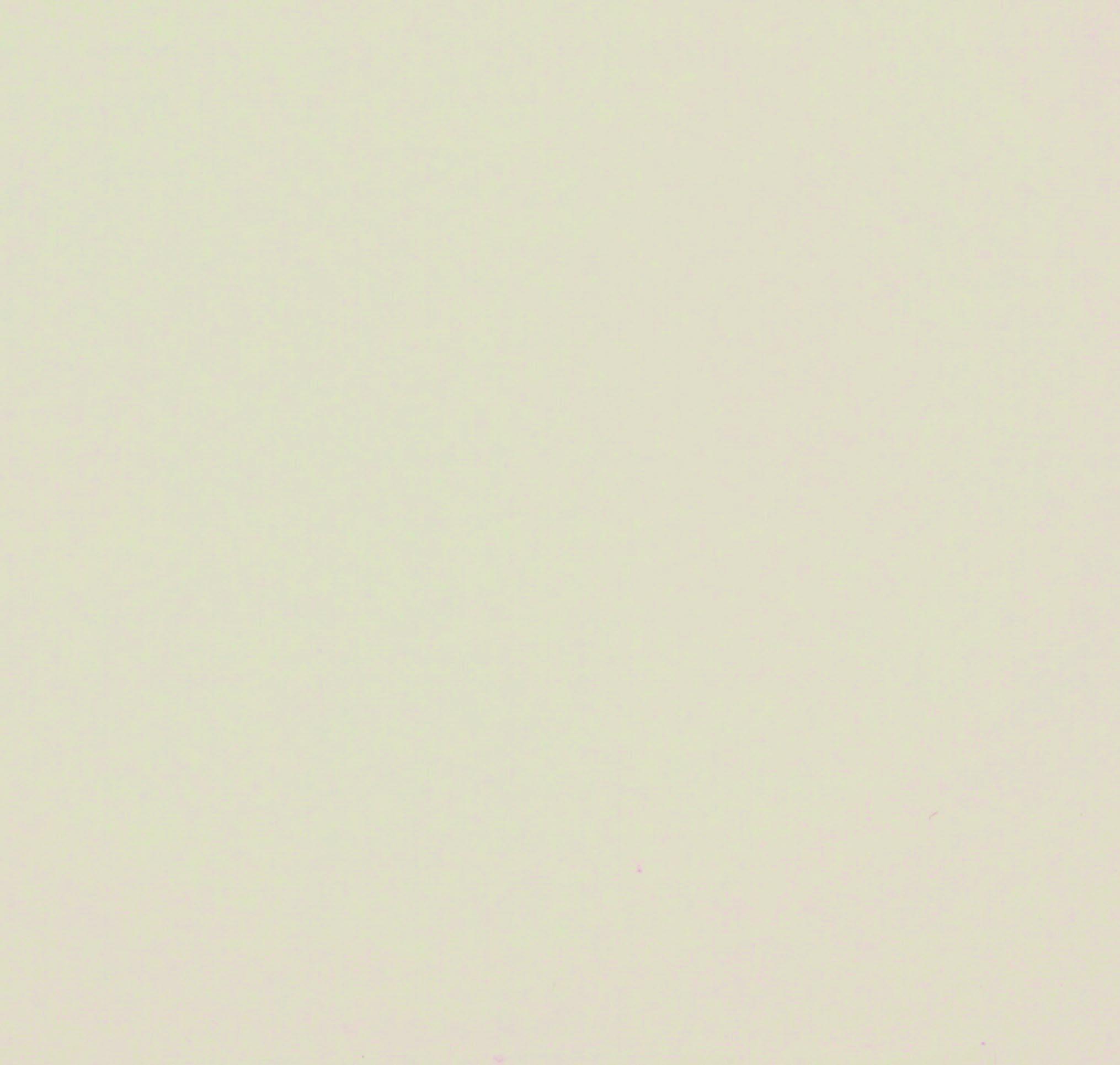 RAL 1013 Blanc perlé