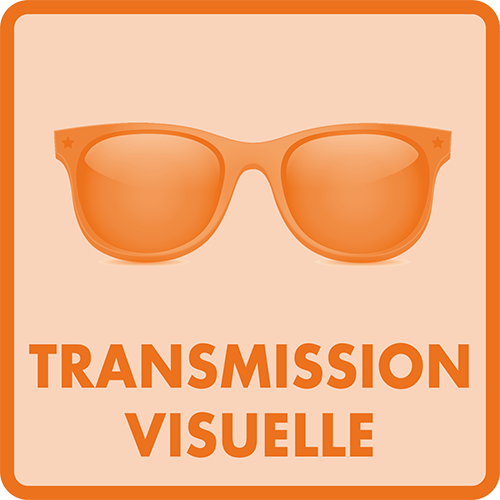 Transmission visuelle